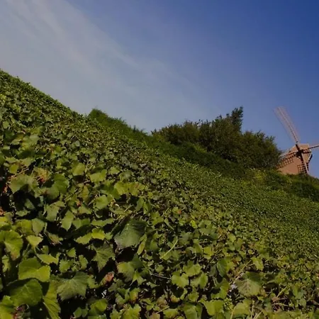 Le Fuseau De * Ρενς